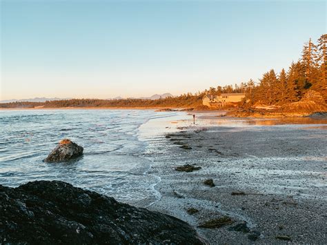 17 Incredible Tofino Hiking Trails: A Hiker's Guide to Tofino, Ucluelet and Pacific Rim National ...