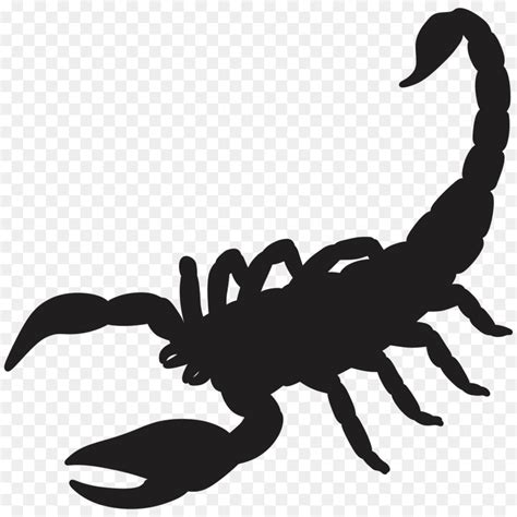 Scorpion Clip art - scorpions png download - 830*1060 - Free Transparent Scorpion png Download ...