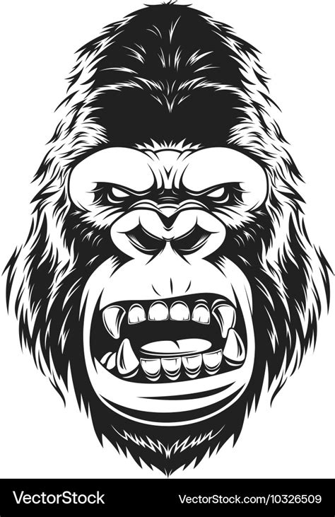 Fierce gorilla head Royalty Free Vector Image - VectorStock