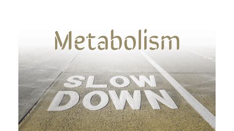 Metabolism Slow Down 101- Lessen Your Risk of Obesity?