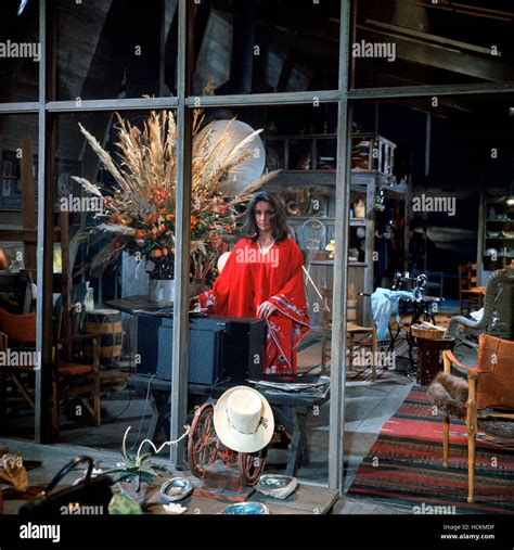 THE SANDPIPER, Elizabeth Taylor, 1965 Stock Photo - Alamy