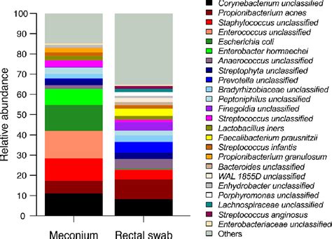 Comparison of the taxonomic composition in meconium samples and rectal... | Download Scientific ...