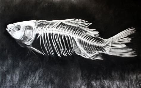 350 best images about A fish skeleton on Pinterest | Fish art, Walleye fishing and Trout