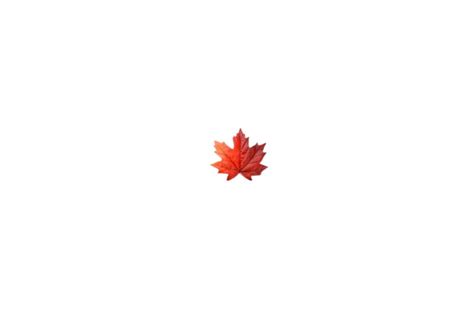 The flag of the French part of Canada : r/vexillologycirclejerk