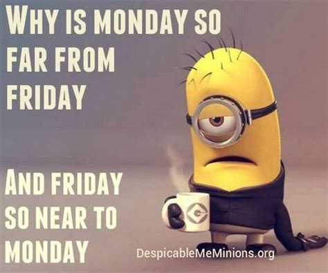 50 Funny Happy Monday Memes