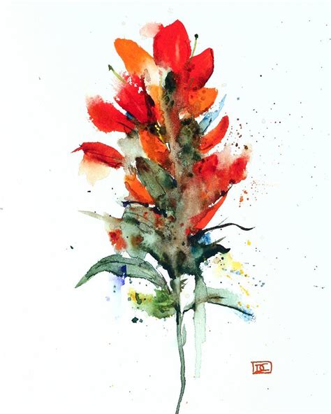 INDIAN PAINTBRUSH | Indian paintbrush, Watercolor indian, Watercolor ...