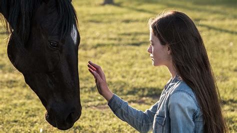 Movie Review: Black Beauty (2020) | HORSE NATION