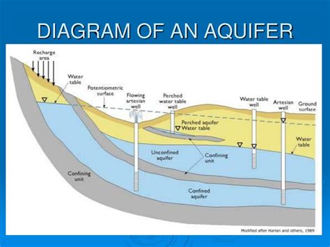 Water Table Aquifer Diagram