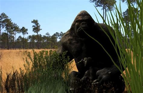 a big gorilla sitting on top of a rock next to tall grass