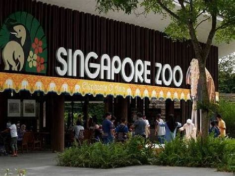 Singapore Zoo