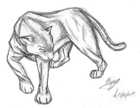 Sketch panther | Pencil drawings of animals, Animal sketches easy, Cool ...