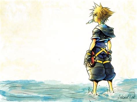 Kingdom Hearts Sora Wallpapers - Top Free Kingdom Hearts Sora ...