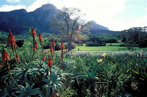 KIRSTENBOSCH NAMED INTERNATIONAL GARDEN OF THE YEAR 2015 | CapeTown ETC