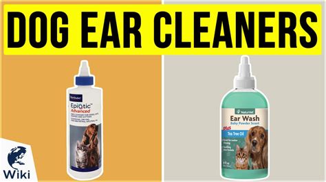 Top 10 Dog Ear Cleaners of 2020 | Video Review