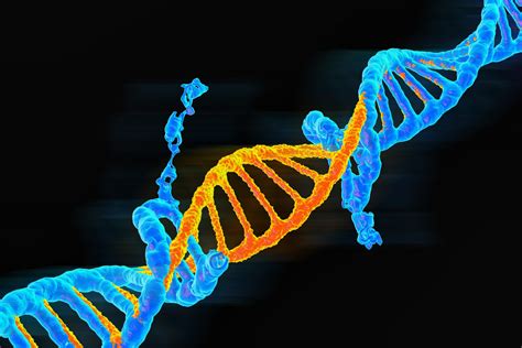 Study on genetic mutation suggests COVID-19 could 'weaken' | Healthing.ca