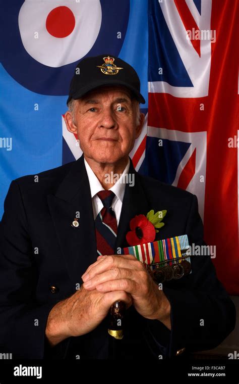 ROYAL AIR FORCE VETERAN AT REUNION Stock Photo - Alamy