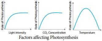 7 IMPORTANT FACTORS AFFECTING PHOTOSYNTHESIS - CBSE Class Notes Online - Classnotes123