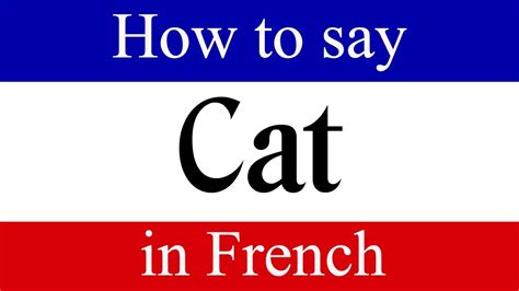 Learn French | How To Say "Cat" in French | French Language Lessons - YouTube