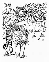 Tiger Animal Coloring Pages  Home sketch template