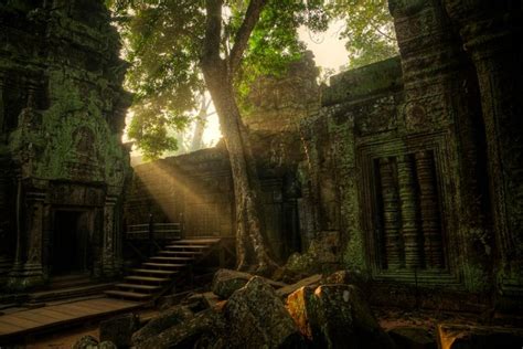 Ta Prohm Temple, Cambodia