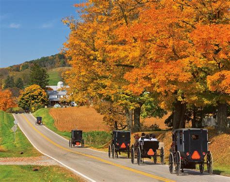 Sarah's Country Kitchen ~ Amish Beliefs, Amish Country, Country Roads, Country Calendar, Holmes ...