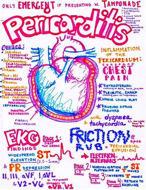 Pericarditis Fuente:www.hansonsanatomy.com Nursing School Studying ...