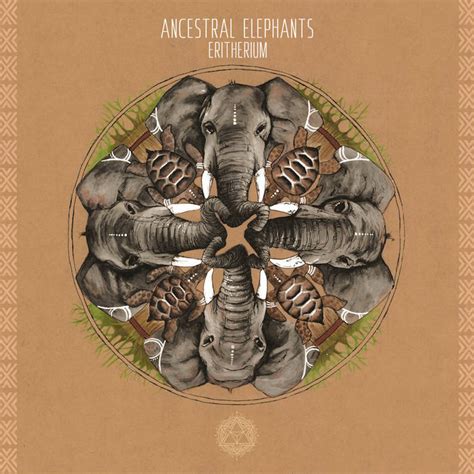 Eritherium | Ancestral Elephants