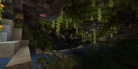 Best Minecraft Survival Biomes