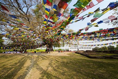 Lumbini travel - Lonely Planet | Nepal, Asia