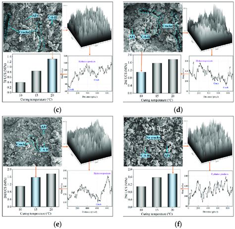 Microstructure and greyscale of different samples: (a) 7d, 10 °C; (b ...