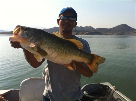 Lake Baccarac Lodge Fishing Report - International Bass Fishing - Bass Fishing Forums