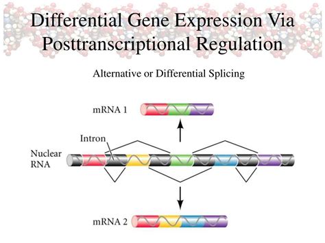 PPT - Differential Gene Expression PowerPoint Presentation, free download - ID:1409854