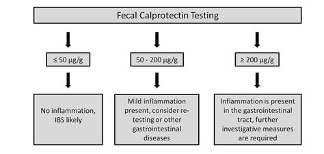 Amazing Calprotectin In Stool in the world Don t miss out | stoolz