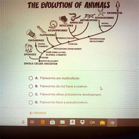 SOLVED: According to the diagram below, which of the following is a ...