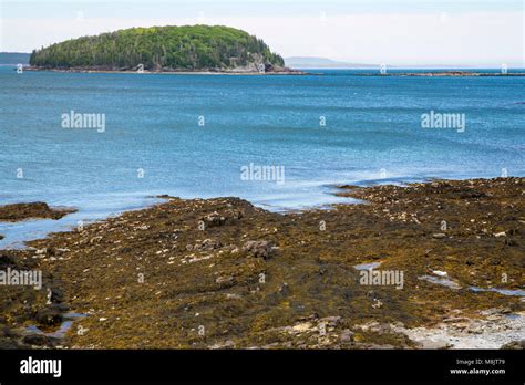 Bar Harbor in the Acadia National Park Stock Photo - Alamy