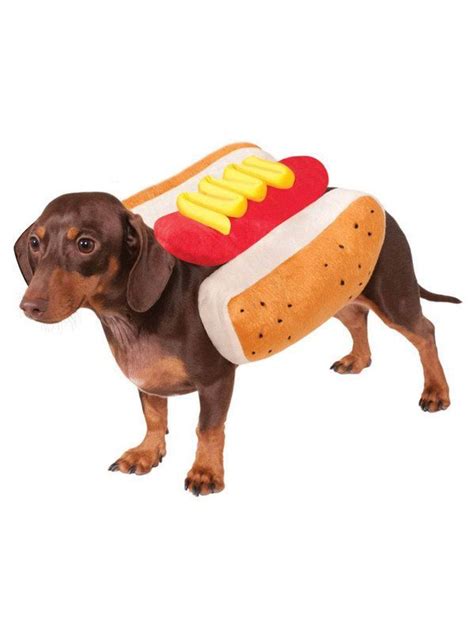 Check out Hot Diggity Dog Costume for Pet - 2018 Costumes | Costume SuperCenter from Costume ...