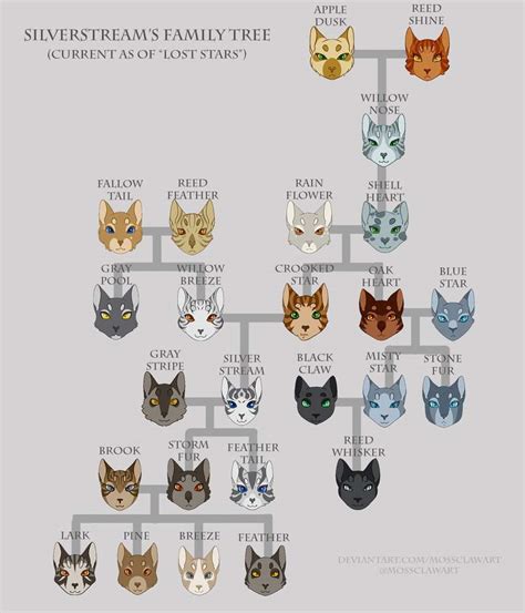 Ancestry of Silverstream | Warriors Amino