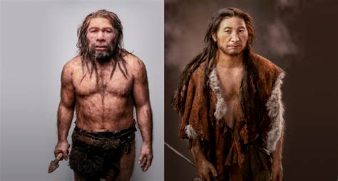 Homo sapiens vs Neandertal: la batalla por la supervivencia