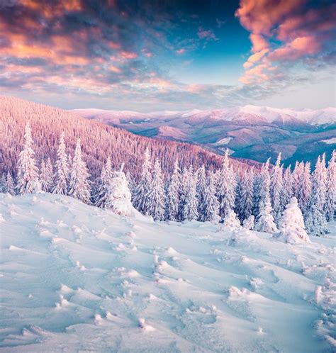 Winter Wonderland in Carpathian Mountains Stock Photo - Image of mountain, adventure: 103091074