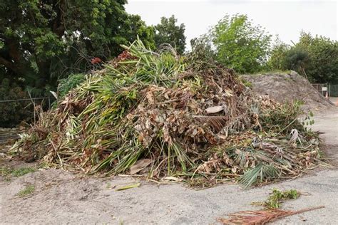 Debris Removal - BigWoodTreeService.com