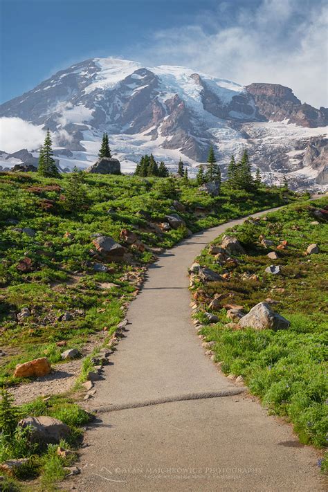 Skyline Trail Mount Rainier - Alan Majchrowicz Photography