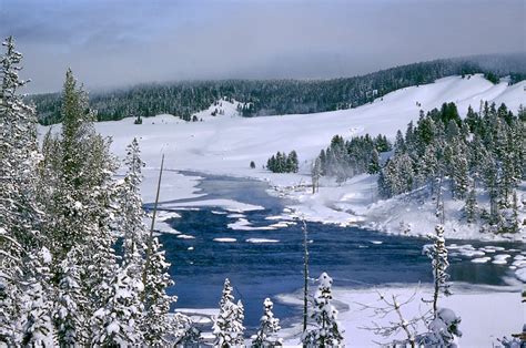 Best Yellowstone Winter Vacation Packages | Scenic Safaris