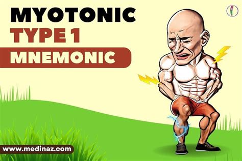 Myotonic dystrophy type 1 mnemonic – Artofit