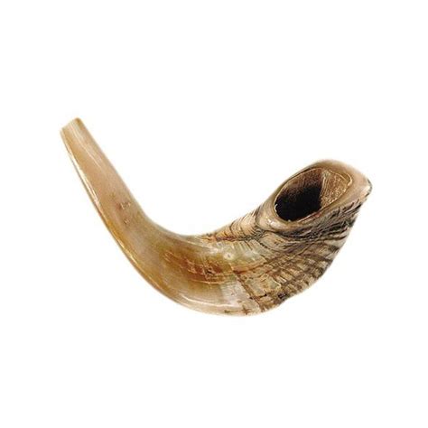 Ram's Horn Shofar (Large) - 1152 – Holy Land Gifts