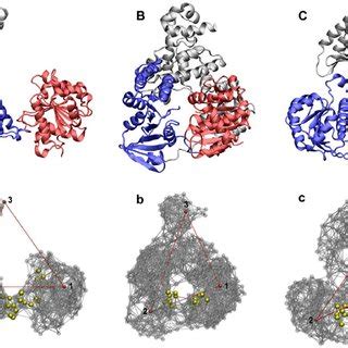 Helicase function on DNA. (A) Structure of Hel308 helicase with... | Download Scientific Diagram