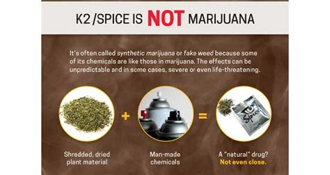 Spice/K2: Drug Facts for Teens - Pequawket Valley Health Initiatives