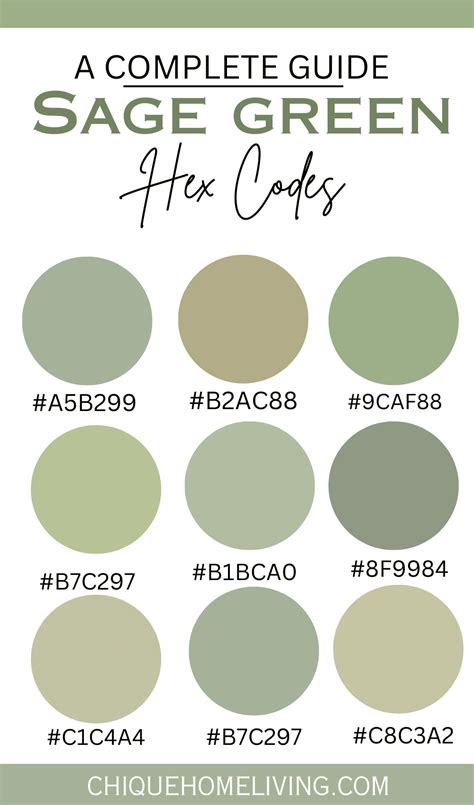 Sage Green Color Codes and Paint Colors