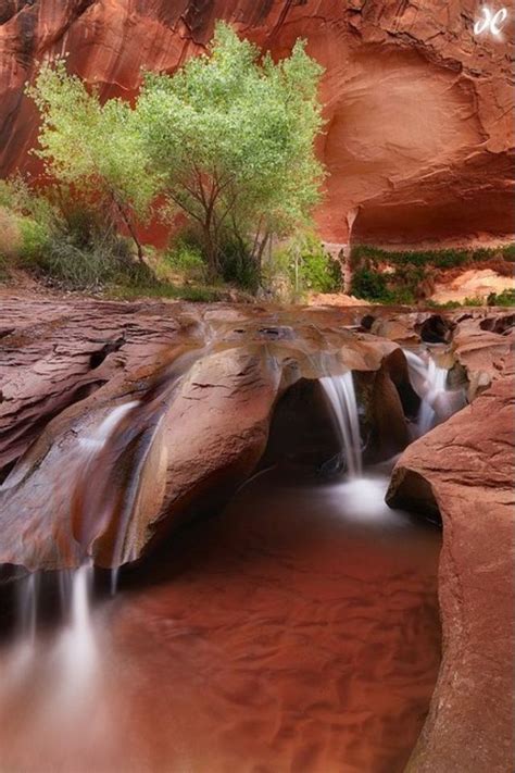 Coyote Gulch, Utah | Places to travel, Places to go, Beautiful places