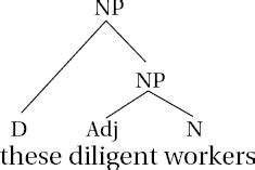 Chapter 6. Noun Phrases – York Syntax: ENG 270 at York College