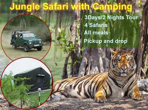 Safari at Rajaji National Park, Jeep Safari at Rajaji National Park